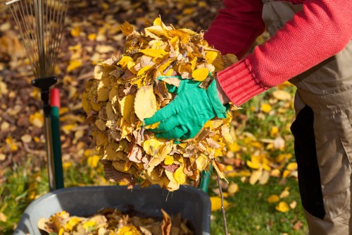 Garden debris being cleared by experts