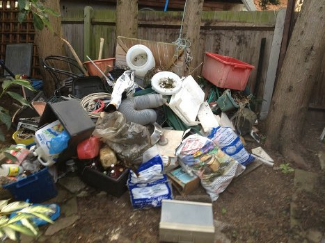 Eco-friendly waste disposal practices in Catford